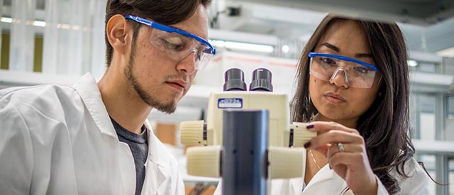 The Margaret and Herman Sokol Institute for Pharmaceutical Life Sciences