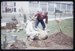 Students Planting a Tree, 1961 by Montclair State College
