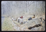 Students Doing Schoolwork Outdoors, 1962 by Montclair State College