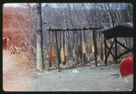 Oars at Camp Wapalanne, 1966 by Montclair State College