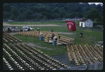 Preparation for Commencement, 1966 by Montclair State College