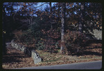Trees Near the Amphitheater, 1966 by Montclair State College