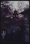 College Hall Through Trees, 1966 by Montclair State College