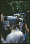 Students near a Creek at Camp Wapalanne, 1967 by Montclair State College