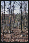 Trail and Bridge in the Woods, 1968 by Montclair State College