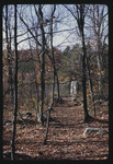 Bridge on a Trail in the Woods, 1968 by Montclair State College