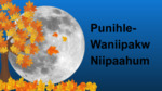 Month 10 - Punihle-Waniipakw Niipaahum - Falling Leaf Moon by Nikole Pecore