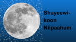 Month 11 - Shayeewi-koon Niipaahum - First Snow Moon by Nikole Pecore