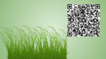 Wiingíimaskw - Sweet Grass - QR Code