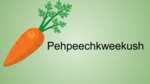 Pehpeechkweekush - Carrot by Nikole Pecore