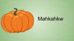 Mahkahkw - Pumpkin or Squash