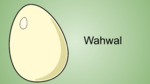 Wahwal - Egg