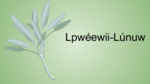 Lpwéewii-Lúnuw - Sage by Nikole Pecore