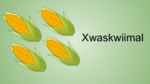 Xwaskwiimal - Corn (Plural)