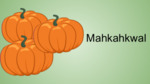 Mahkahkwal - Pumpkins or Squashes by Nikole Pecore