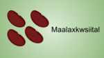 Maalaxkwsiital - Red Beans by Nikole Pecore