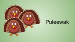 Puleewak - Turkeys by Nikole Pecore
