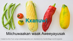 Kxanuw! (Miichuwaakan waak Aweeyayusak) by Kira Fucci and Camilla Bager